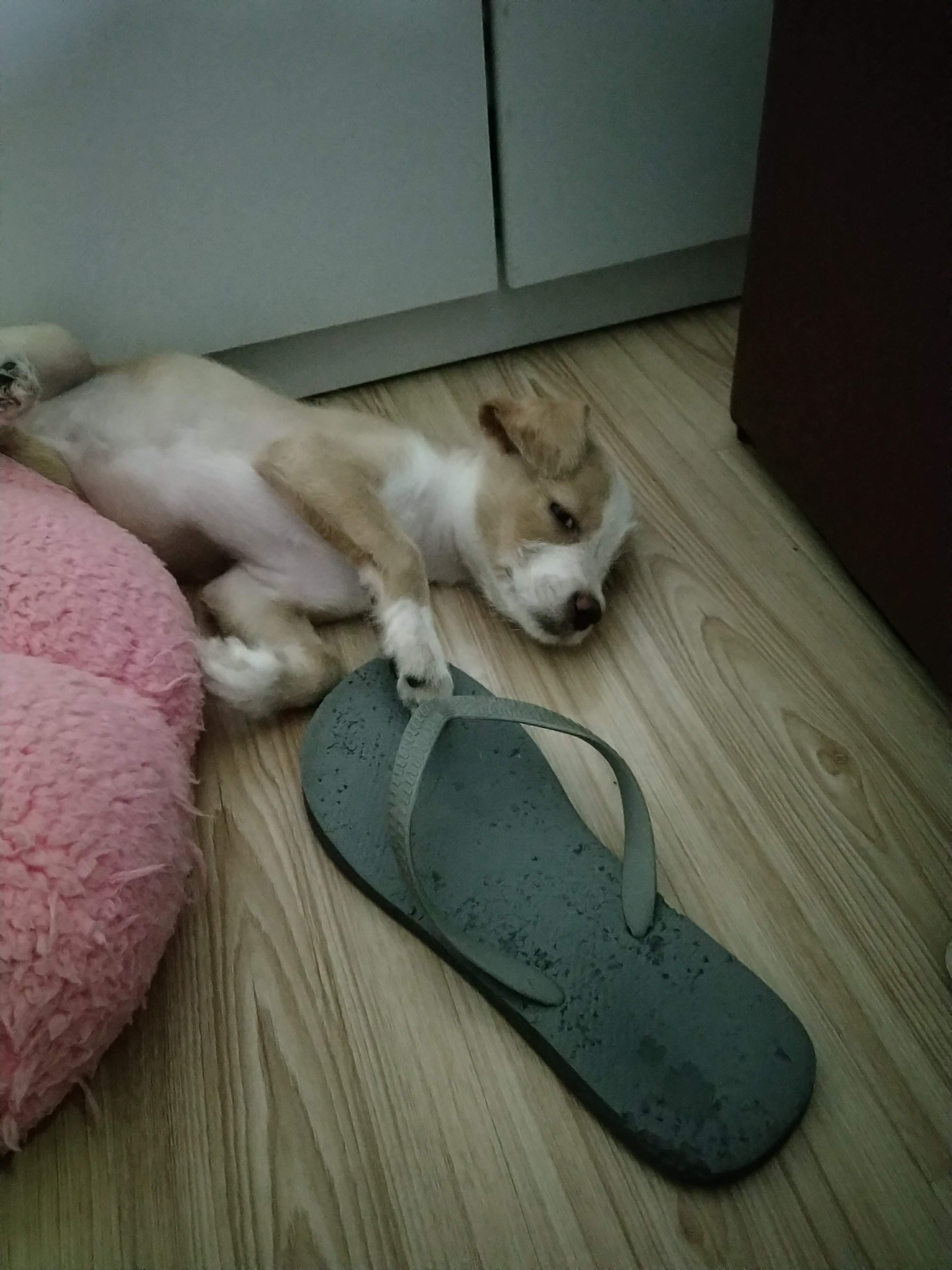 多多 (468).jpg