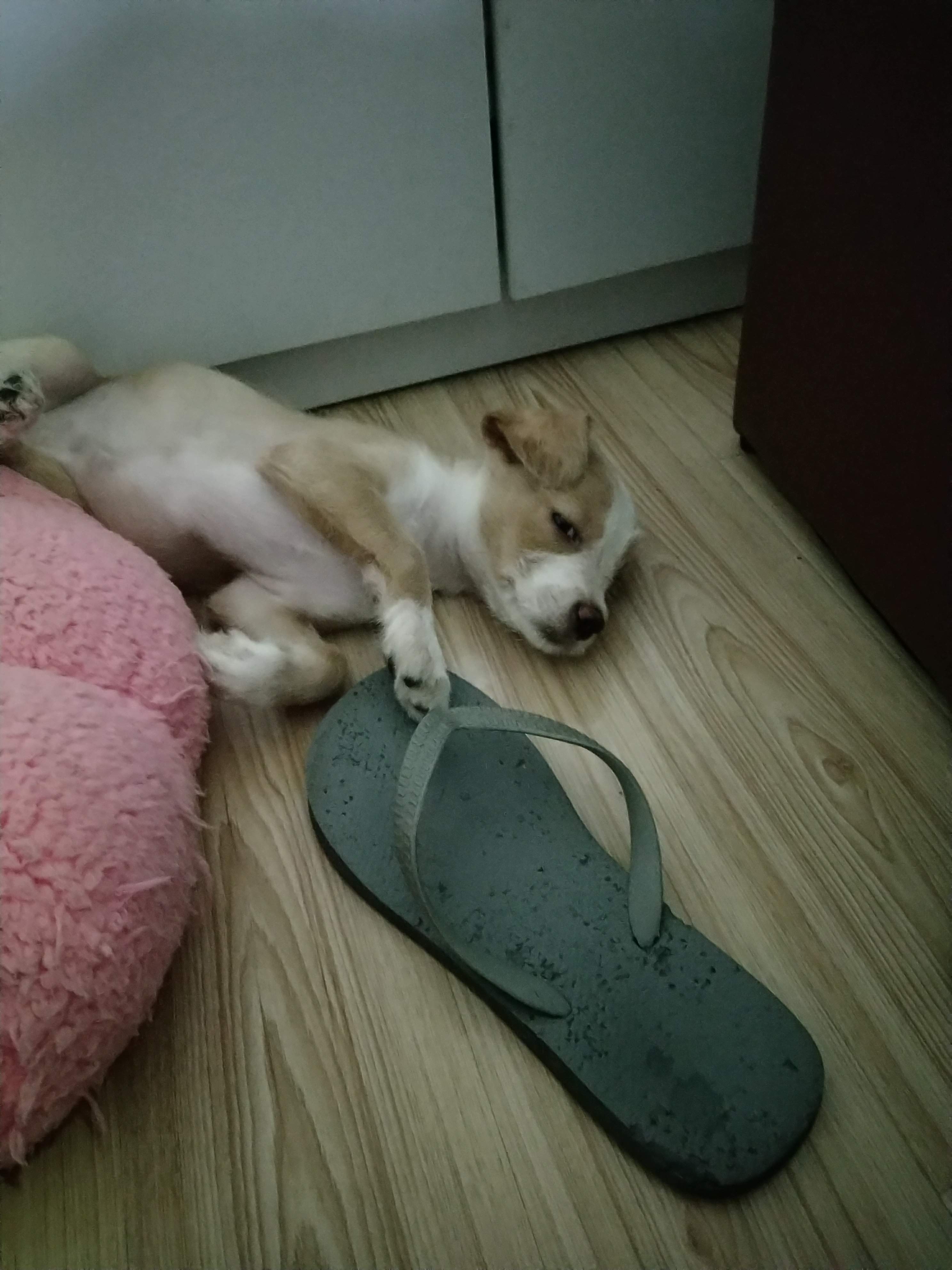 多多 (469).jpg