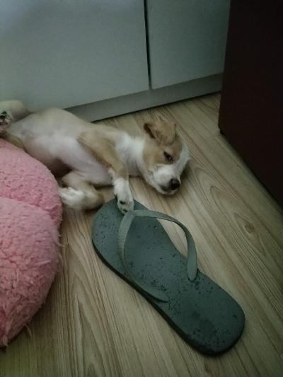多多 (469).jpg