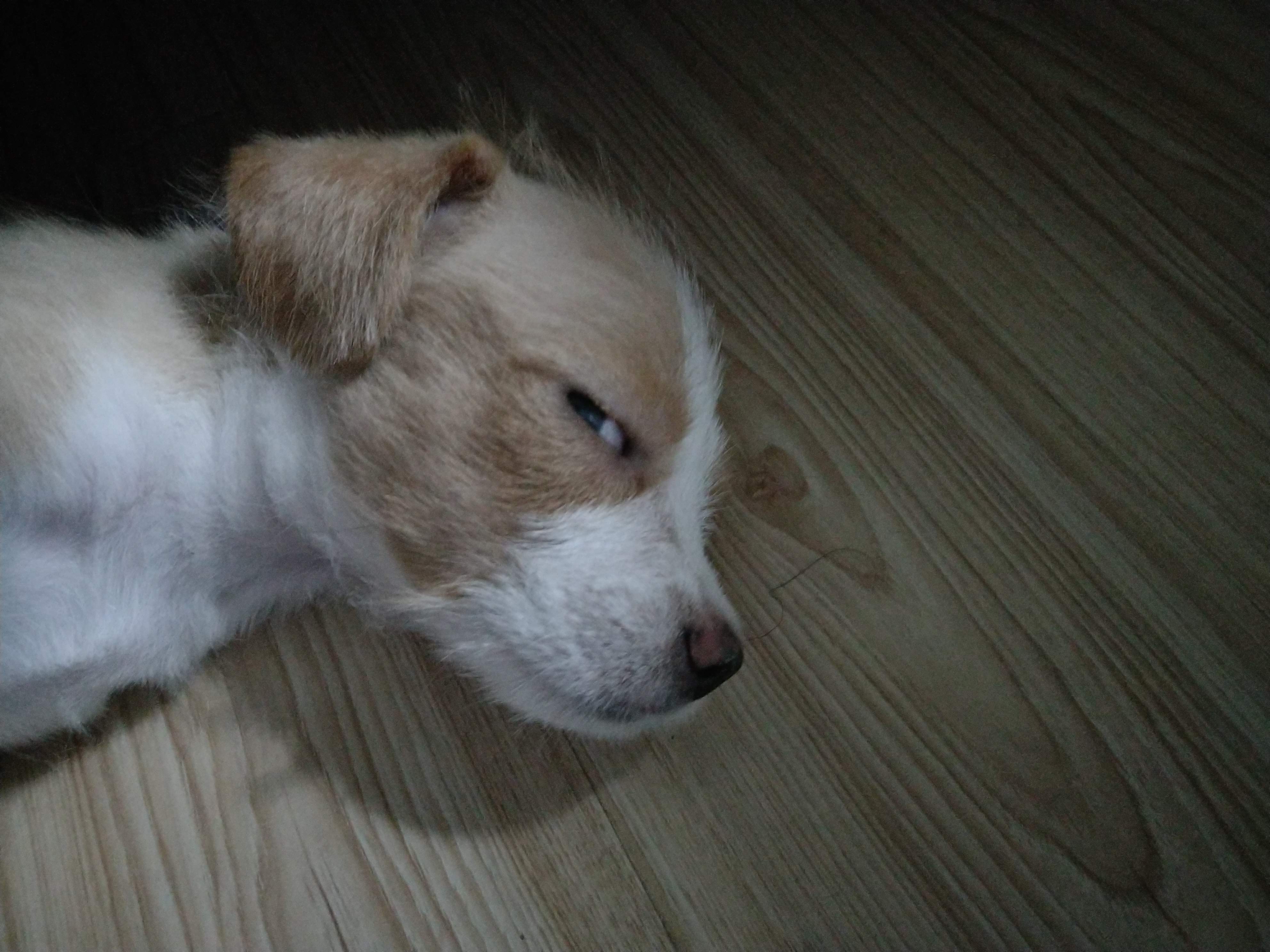 多多 (478).jpg