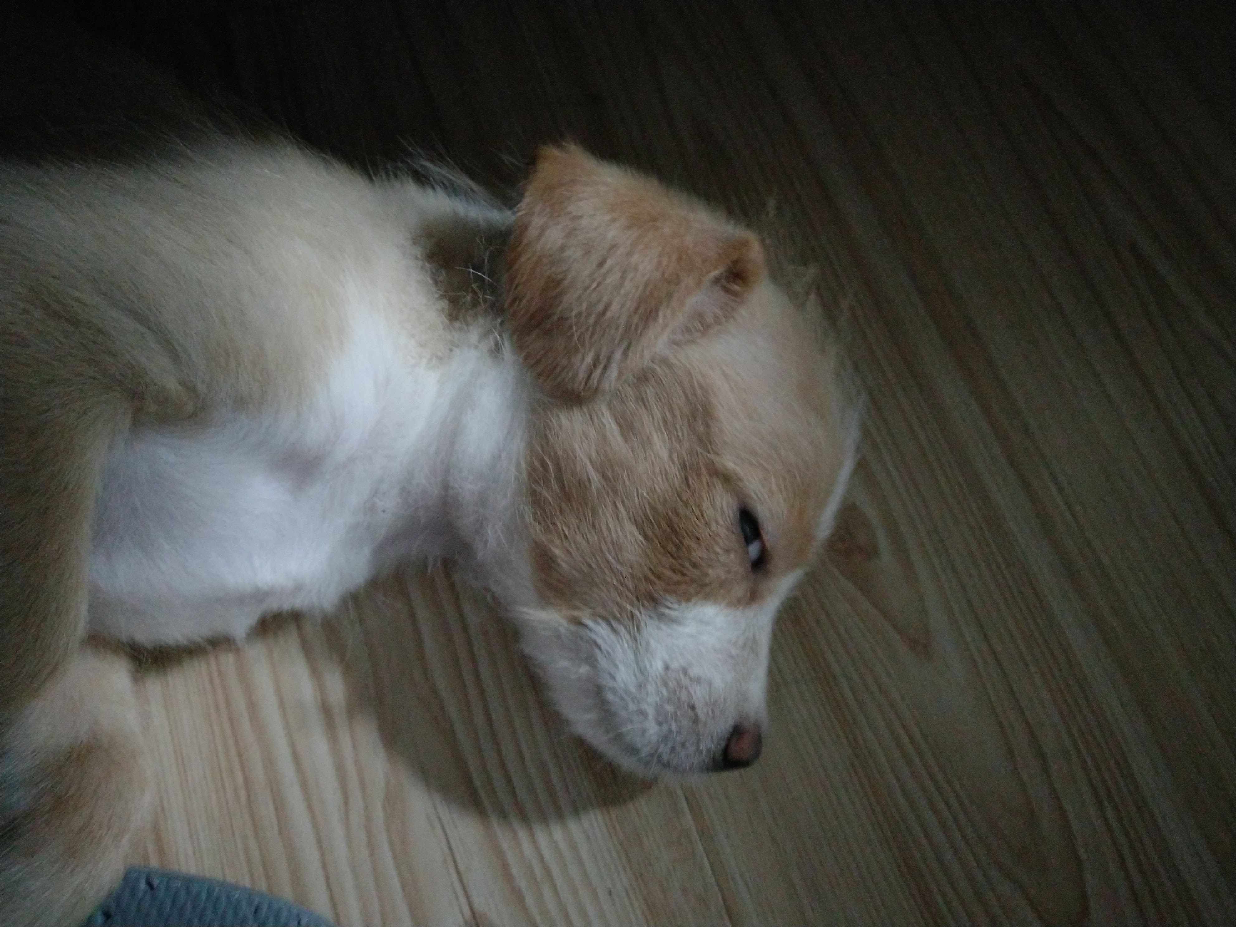 多多 (479).jpg