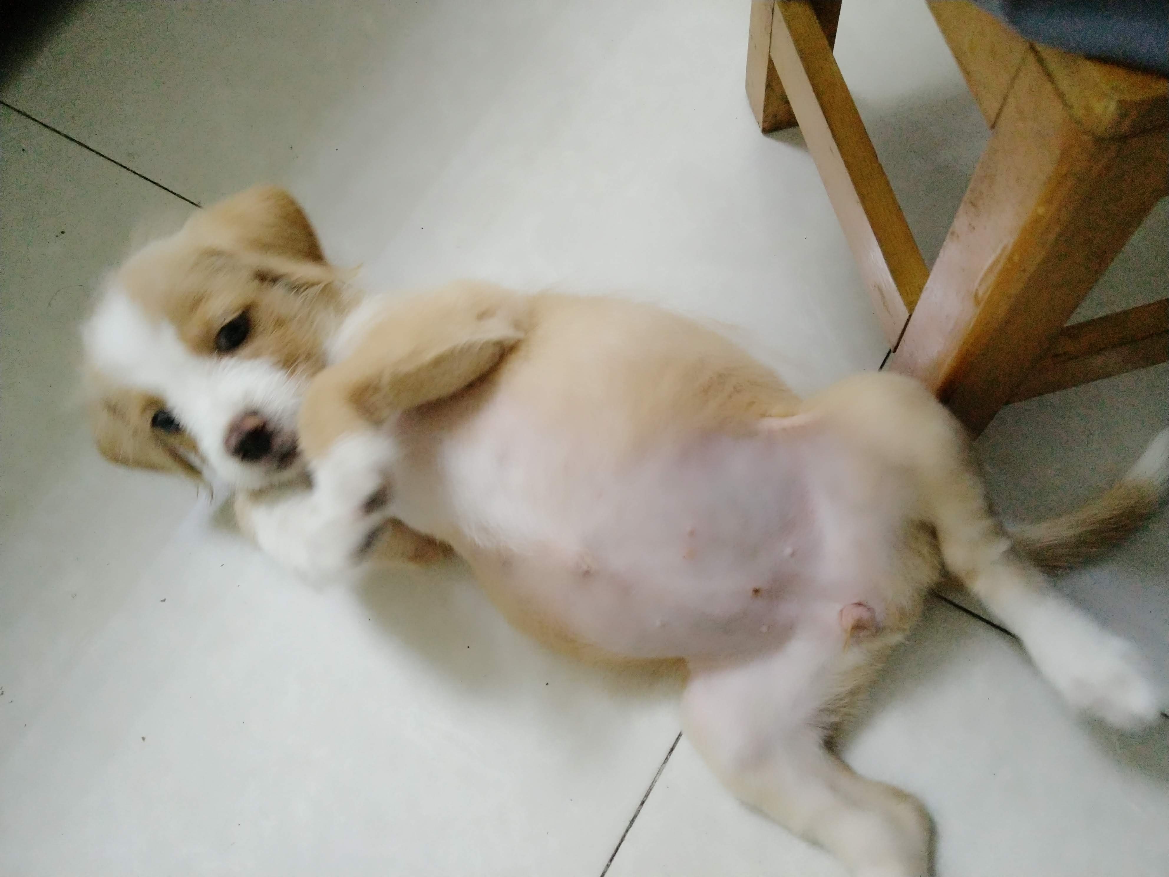多多 (489).jpg