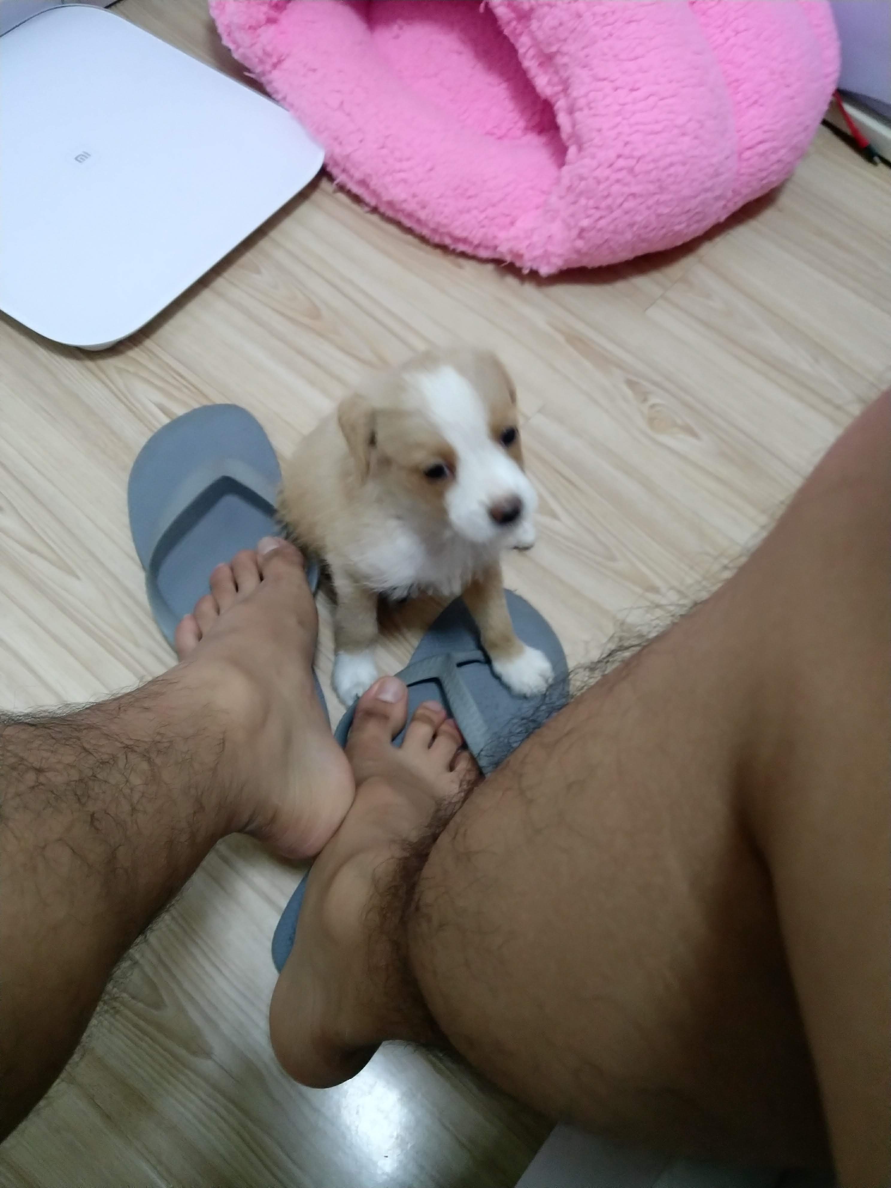 多多 (510).jpg