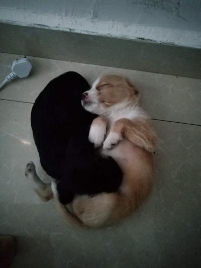 多多 (522).jpg