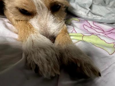 多多 (58).jpg