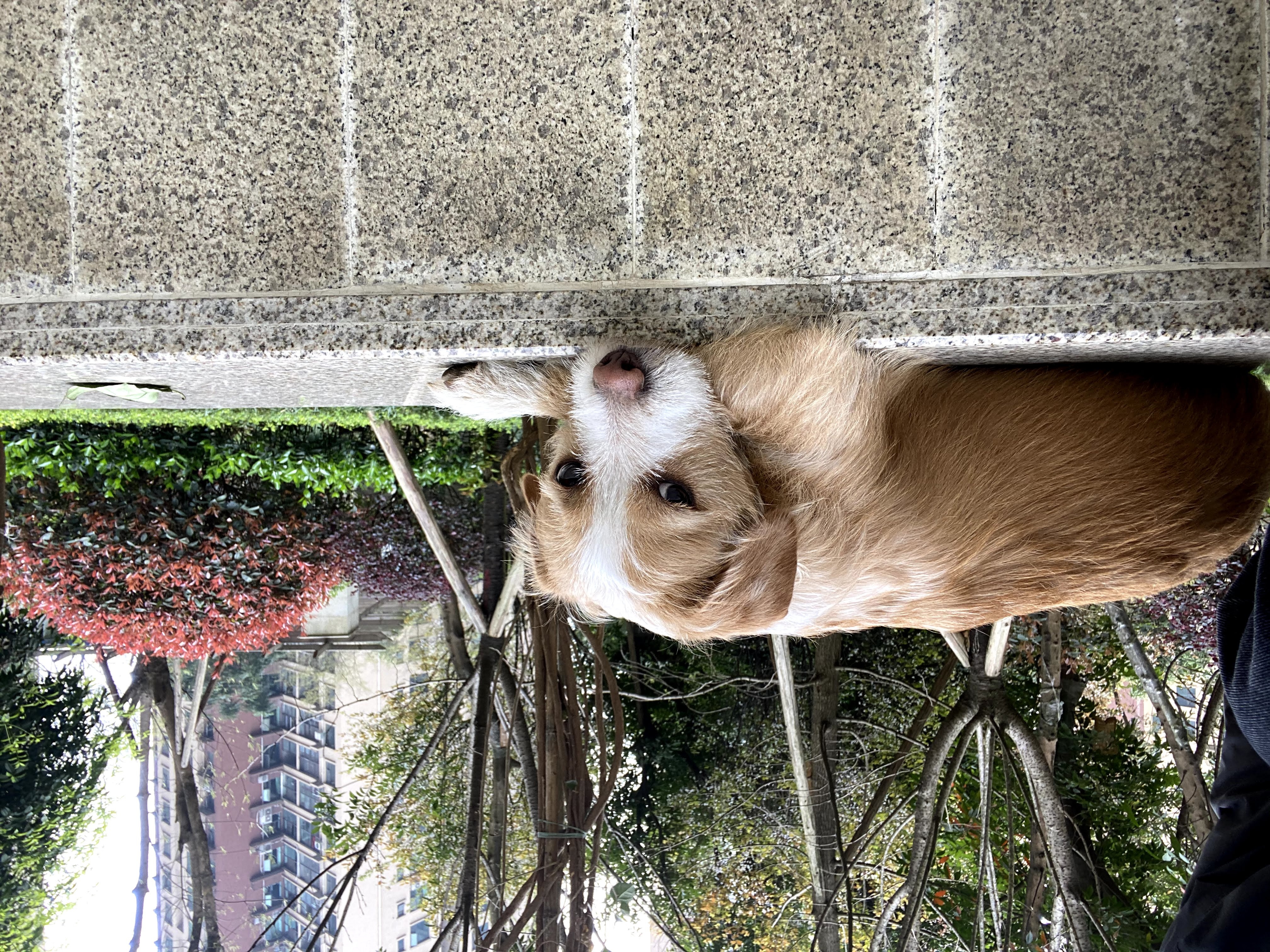 多多 (6).jpg