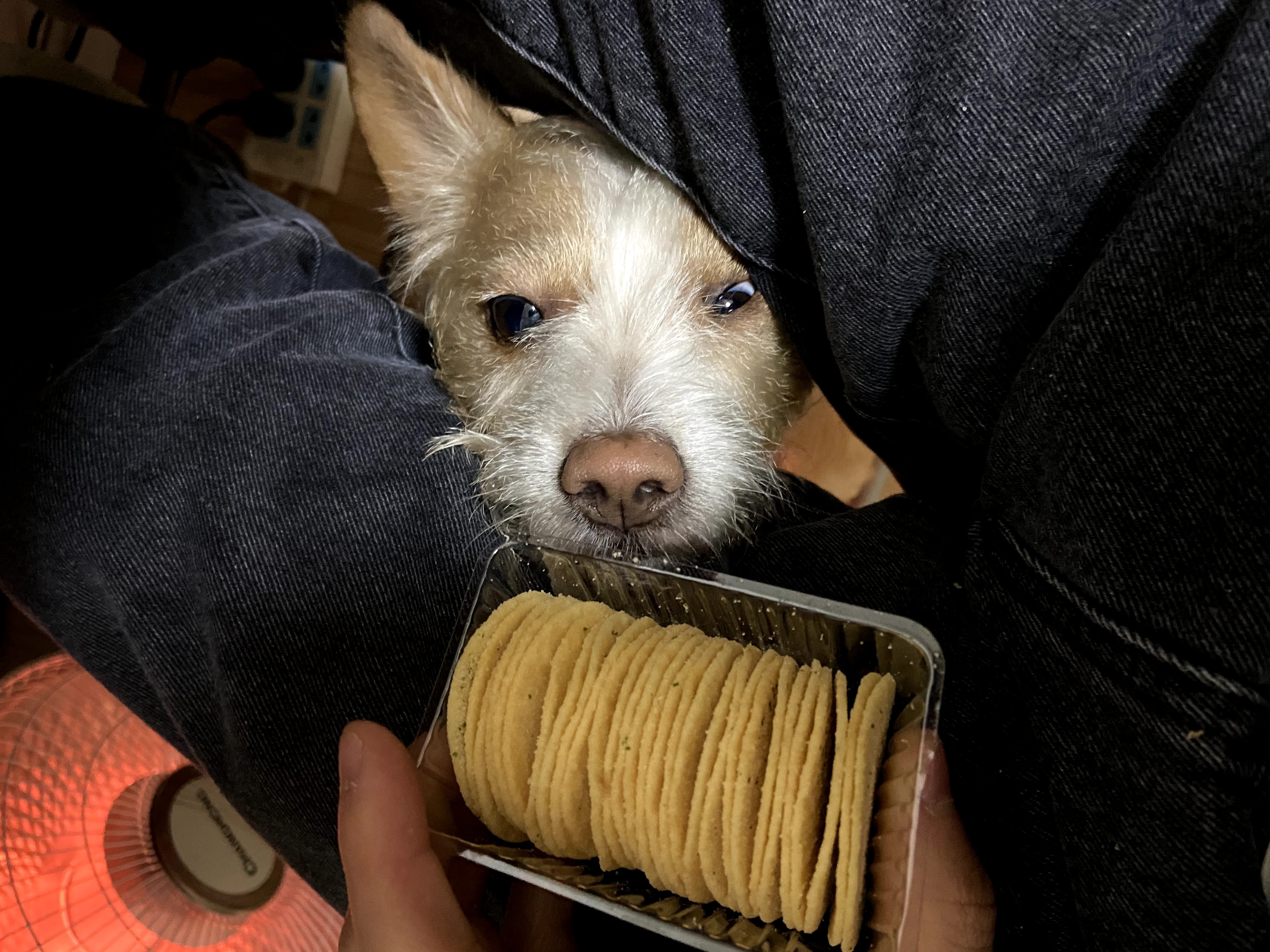 多多 (76).jpg