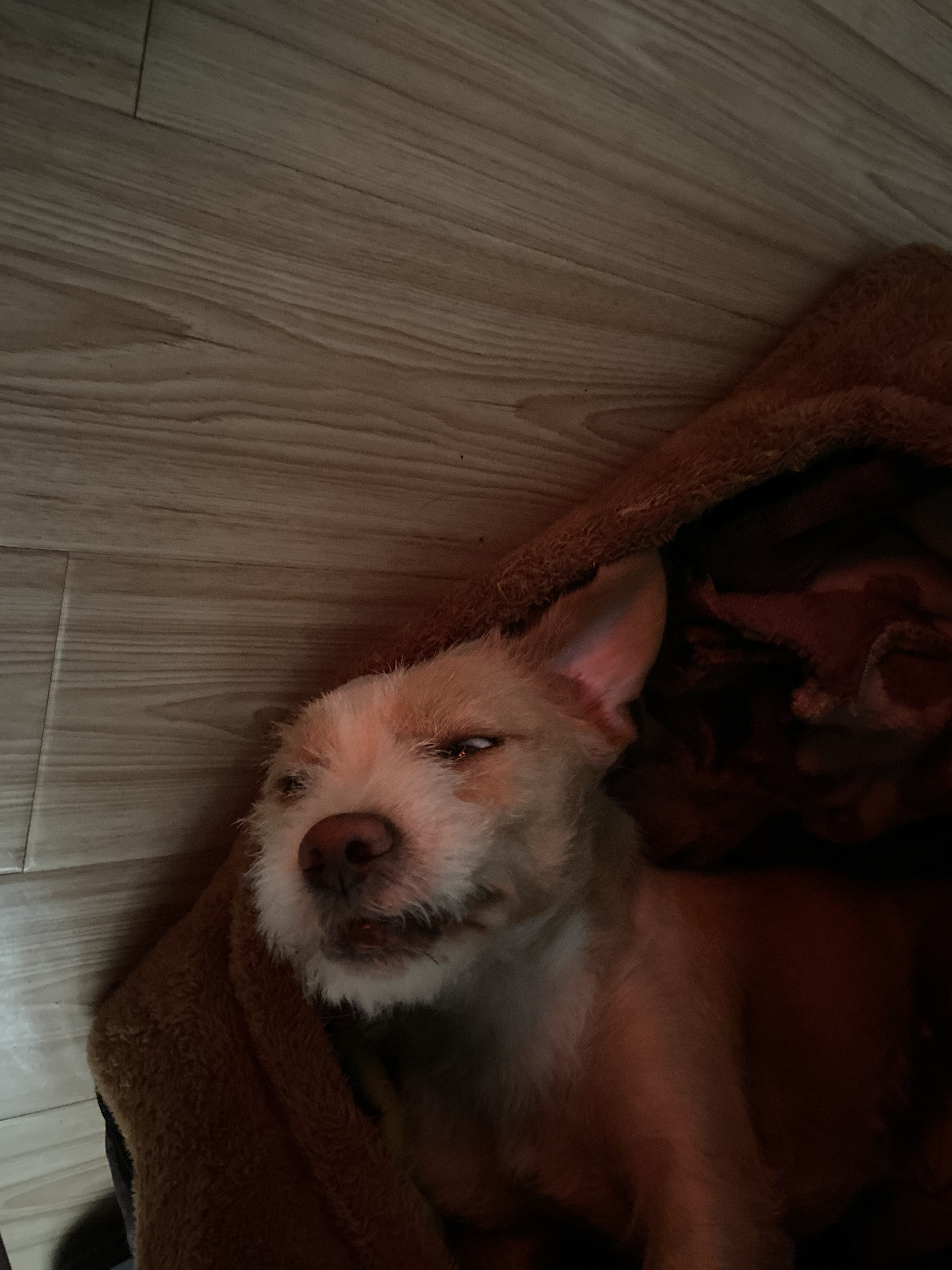 多多 (96).jpg