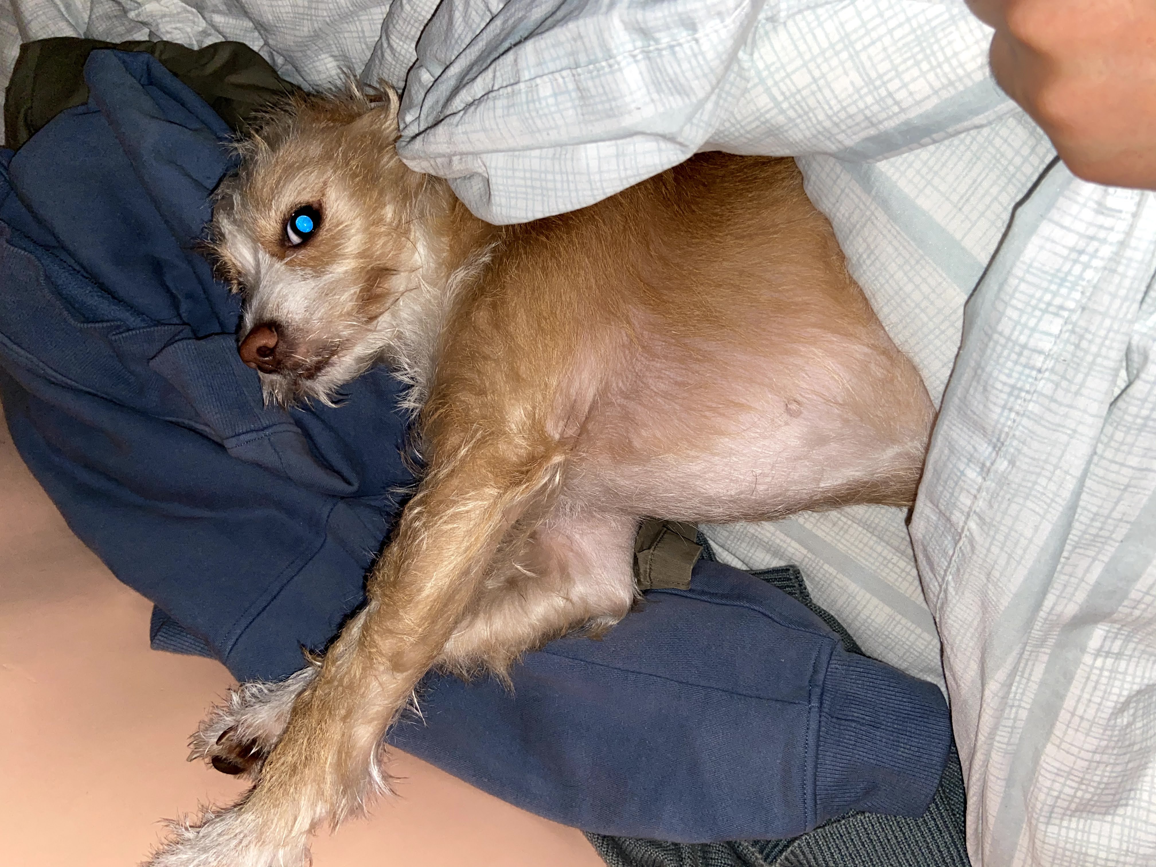 多多 (98).jpg
