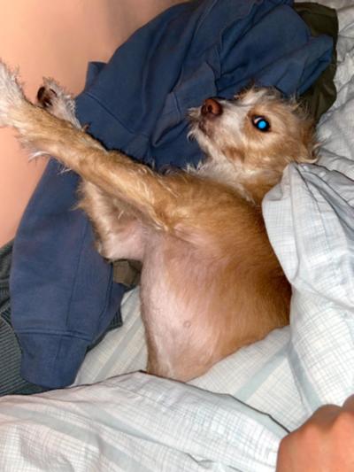 多多 (98).jpg