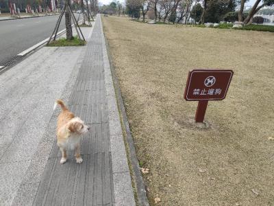 多多2022年3月 (2).jpg