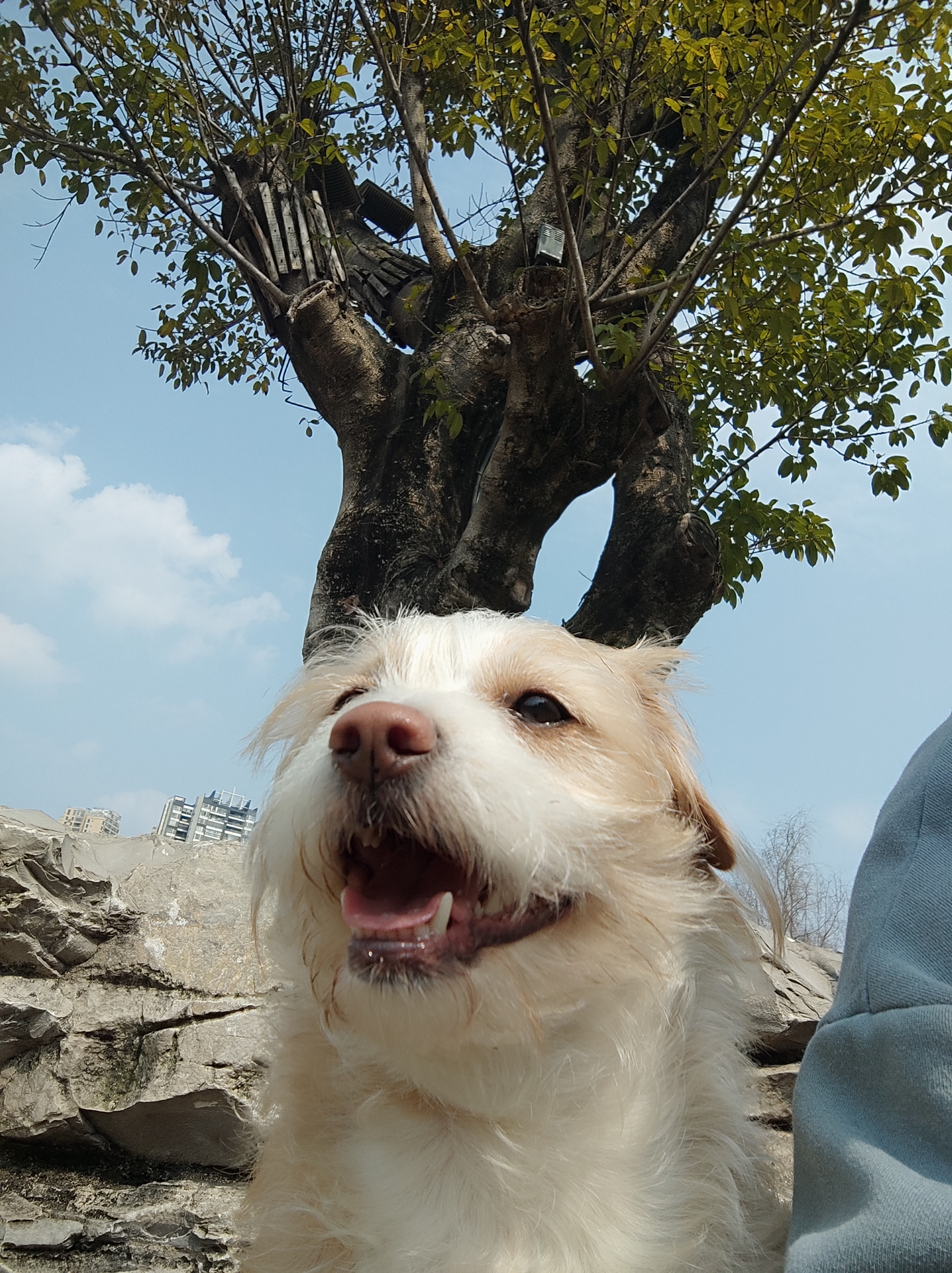 多多2022年3月 (5).jpg