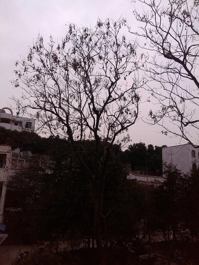 思蒙高中16.jpg