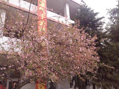 思蒙高中17.jpg