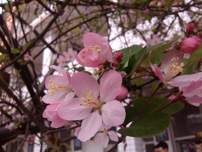 思蒙高中38.jpg