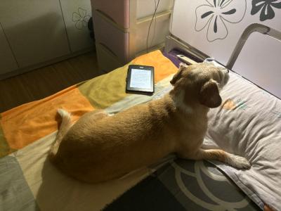 油光水滑的多.JPG